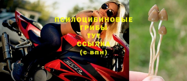 COCAINE Алзамай